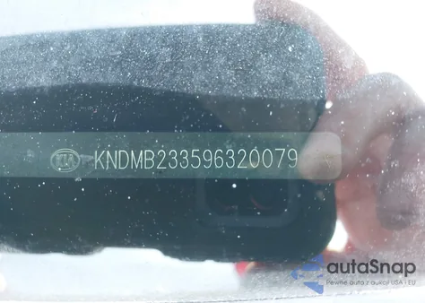 2009 Kia Sedona Lx z USA, uszkodzony, nr VIN KNDMB233596320079